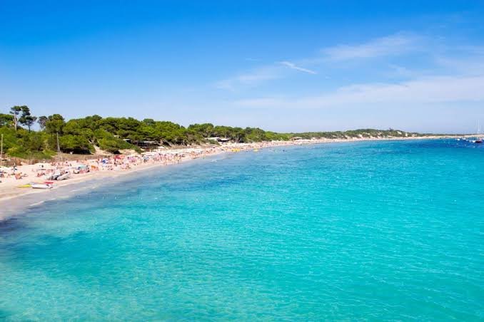 Ses Salines